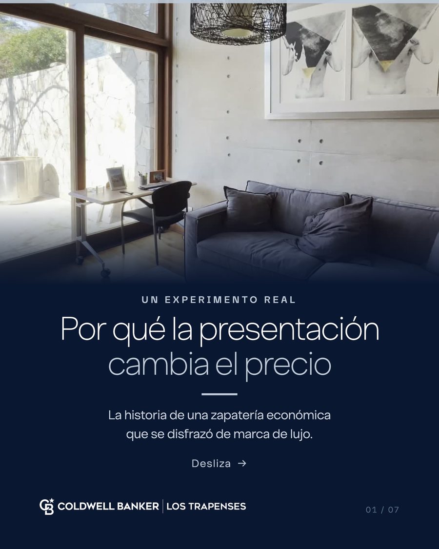 Carousel about the Palessi branding experiment
