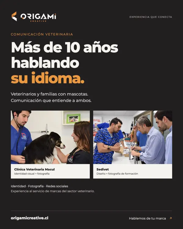 Hay una diferencia entre hablar de veterinaria y entender cómo comunicarla.
