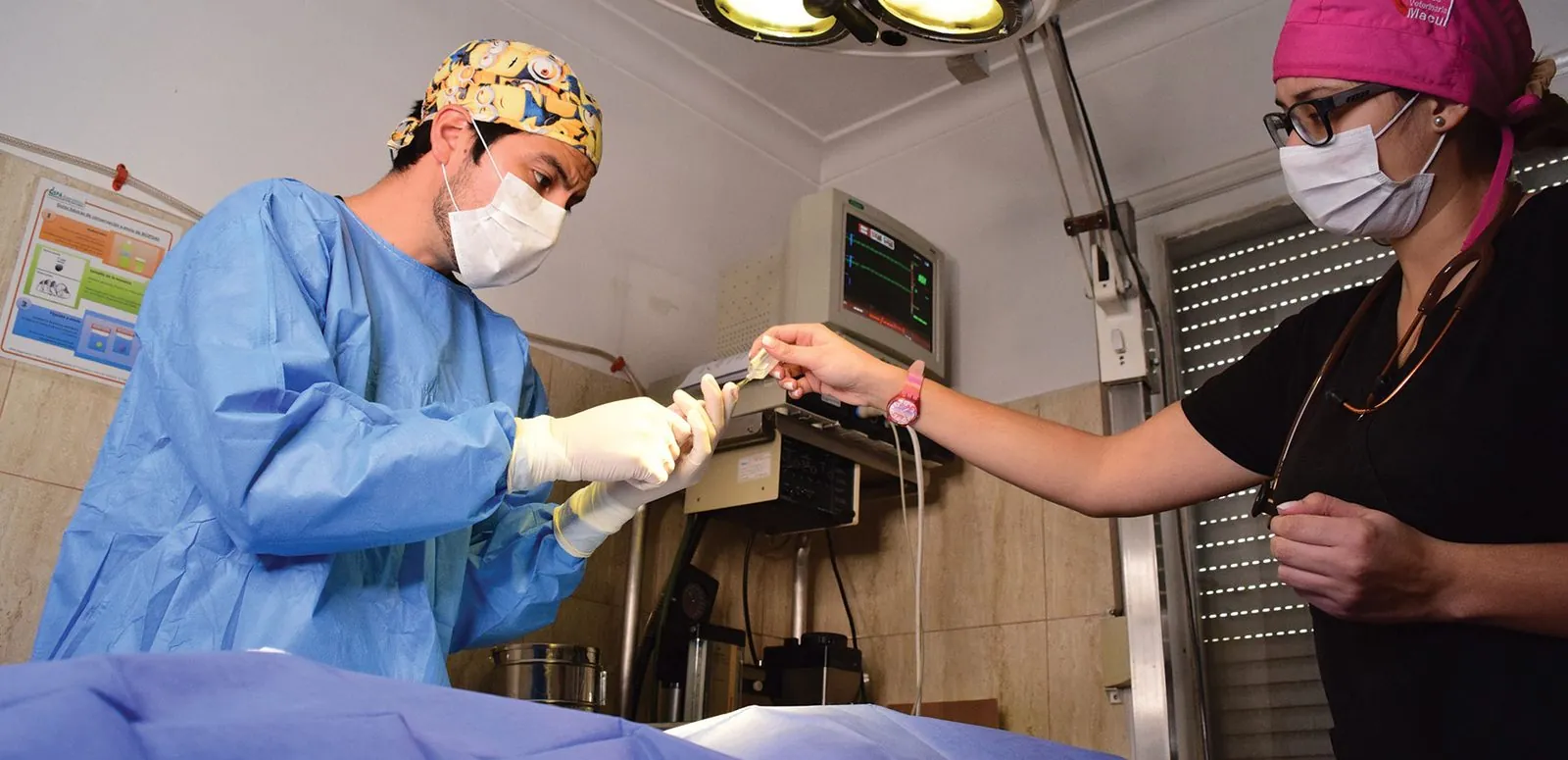 Veterinary team working in the operating room