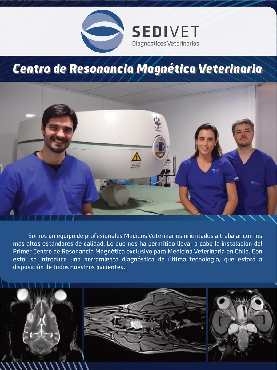 Front of the Sedivet brochure: Veterinary MRI Center, with the team next to the scanner and MRI images
