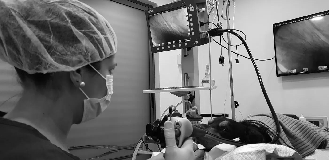 Black and white photo of a professional during a procedure, with monitors in the background